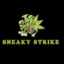 Sneaky Strike~Inspektor Borewicz