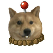 我是山里灵活的狗，你抓不住我的