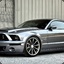 Shelby2