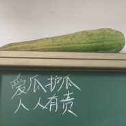 果然是个取名废