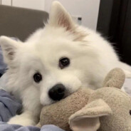 在忙吗？可以扶我一下不？