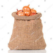 Onion from My Big Burlap Sack