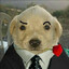 Mister Psinka