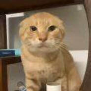 我在色孽魔域很想你