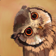 树梢上的猫头鹰