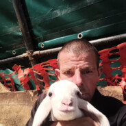 oltenescu jucator de aparate