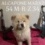 KRALINA 1 MERMİ
