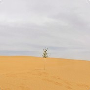 沙漠坚强的小白杨