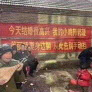 我想给大家看牛牛