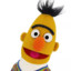 Bert