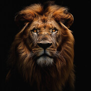 Arix - steam id 76561199744064179