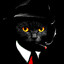 Mr. Cat