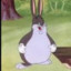 Chungus