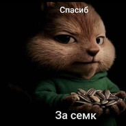 vlad mda