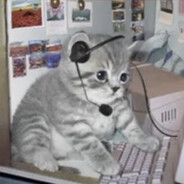 Cat gaming