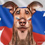 Avatar of player шкибид
