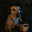 Black Dog