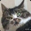 ☞ ttv.Gativ ☜