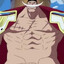 Whitebeard