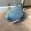 Blåhaj