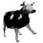 Beef