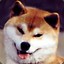 DudeWheresMySerotonin