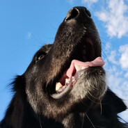 miguel.carabajal0402