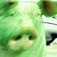 Einswine