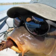 кибер карасёк