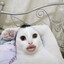terrible's avatar