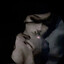 BL3DN4Y4_xd