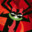 aKu