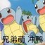 龟龟