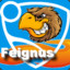 Feignus