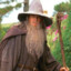 Gandalf the Grey