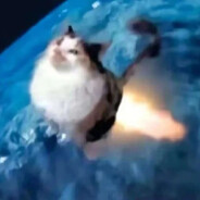 rocket cat no.7