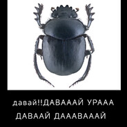 Аватар nekit_ww32