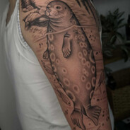 Nuorehko (KK) Norppa