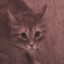 Odysseus