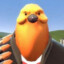 pootis