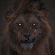 AREKE - steam id 76561199089145167