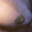 lion's engorged nipples