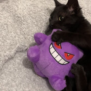 Gulf - steam id 76561198290344302