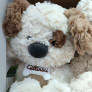 今天想吃红烧肉