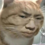 翻斗花园第一突破手胡