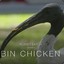 Bin Chicken