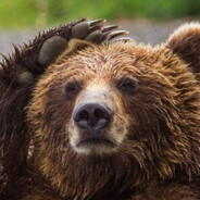 Dim_ASS #HeavyUpdate