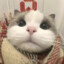 小七不会打狙
