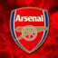 WE LOVE YOU ARSENAL