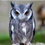 OMG!|Mertiel